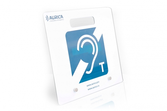 Переносная (портативная) индукционная система Aurica P-NF new, фото, характеристики